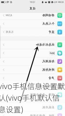 vivo手机信息设置默认(vivo手机默认信息设置)