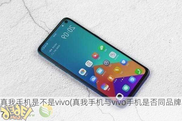 真我手机是不是vivo(真我手机与vivo手机是否同品牌？)