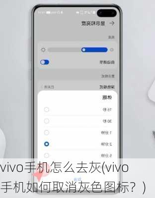 vivo手机怎么去灰(vivo手机如何取消灰色图标？)