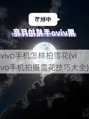 vivo手机怎样拍雪花(vivo手机拍摄雪花技巧大全)