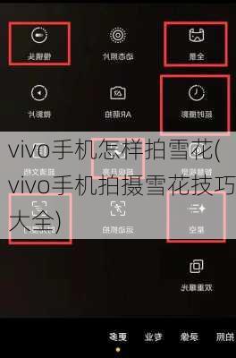 vivo手机怎样拍雪花(vivo手机拍摄雪花技巧大全)
