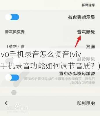 vivo手机录音怎么调音(vivo手机录音功能如何调节音质？)