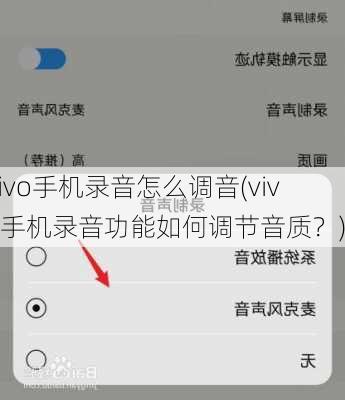 vivo手机录音怎么调音(vivo手机录音功能如何调节音质？)