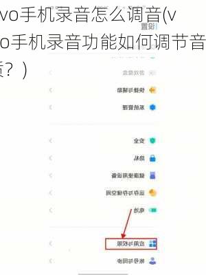 vivo手机录音怎么调音(vivo手机录音功能如何调节音质？)