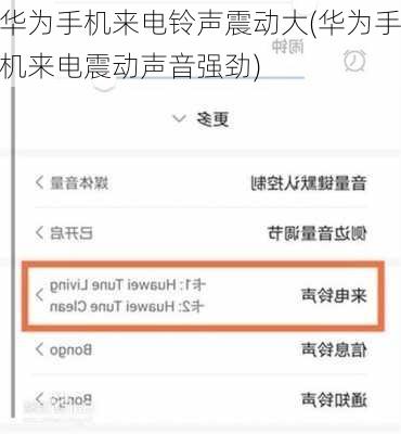华为手机来电铃声震动大(华为手机来电震动声音强劲)