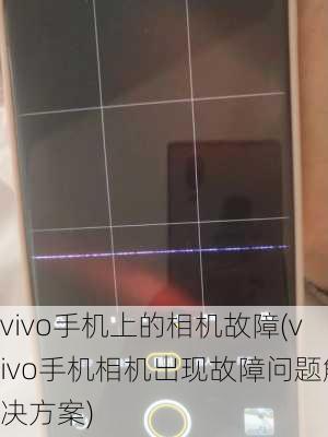 vivo手机上的相机故障(vivo手机相机出现故障问题解决方案)