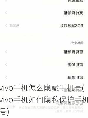 vivo手机怎么隐藏手机号(vivo手机如何隐私保护手机号)