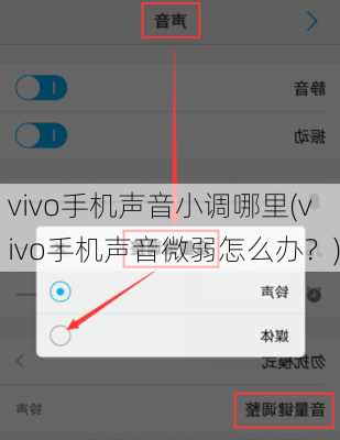 vivo手机声音小调哪里(vivo手机声音微弱怎么办？)