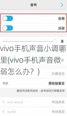 vivo手机声音小调哪里(vivo手机声音微弱怎么办？)