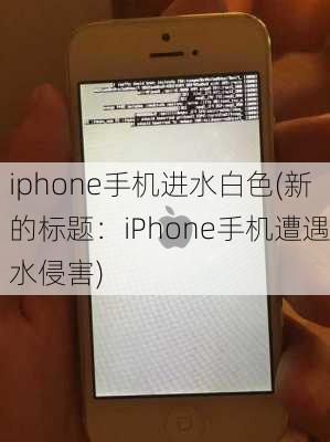 iphone手机进水白色(新的标题：iPhone手机遭遇水侵害)