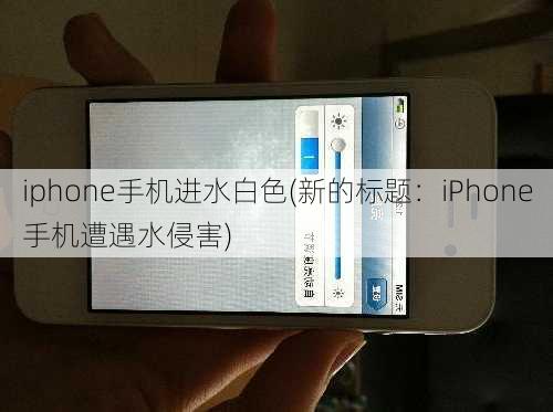 iphone手机进水白色(新的标题：iPhone手机遭遇水侵害)