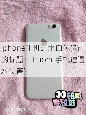 iphone手机进水白色(新的标题：iPhone手机遭遇水侵害)