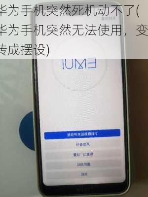 华为手机突然死机动不了(华为手机突然无法使用，变砖成摆设)