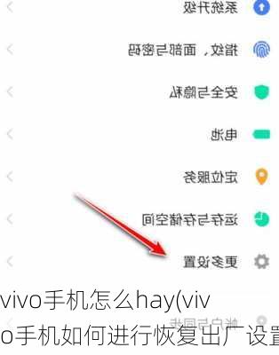 vivo手机怎么hay(vivo手机如何进行恢复出厂设置？)