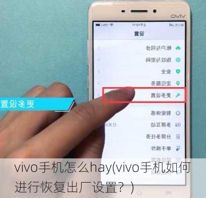 vivo手机怎么hay(vivo手机如何进行恢复出厂设置？)