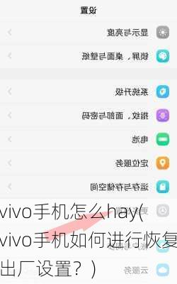 vivo手机怎么hay(vivo手机如何进行恢复出厂设置？)