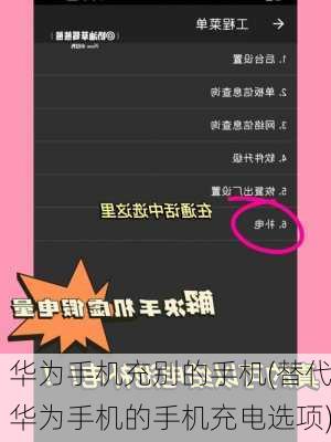 华为手机充别的手机(替代华为手机的手机充电选项)