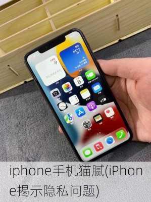 iphone手机猫腻(iPhone揭示隐私问题)