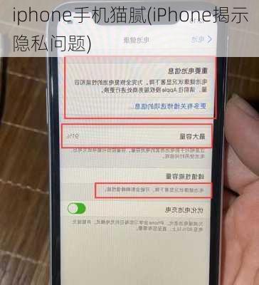 iphone手机猫腻(iPhone揭示隐私问题)